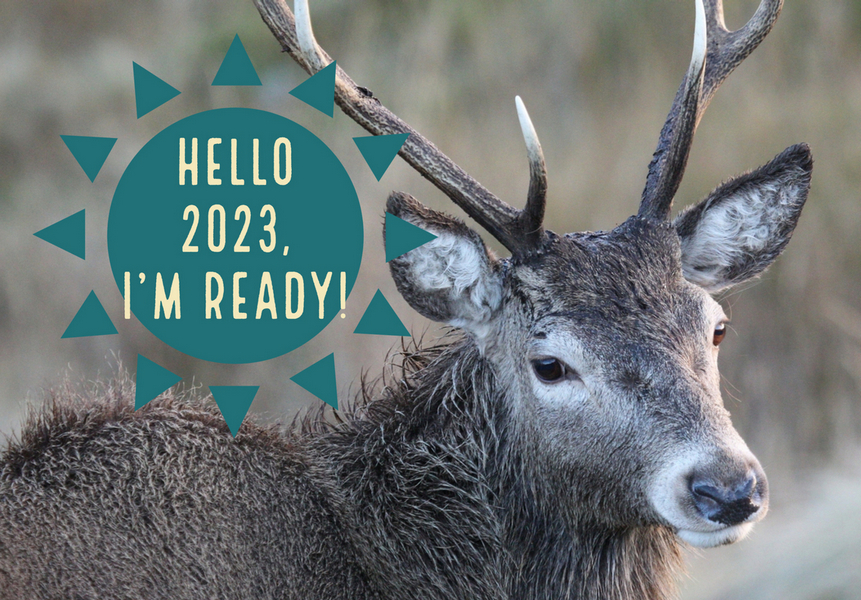 Hello New Year 2023, I am ready!