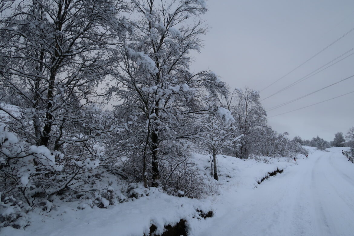 December wintry weather