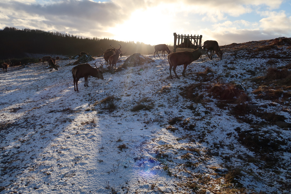 Sunlight beckons us in