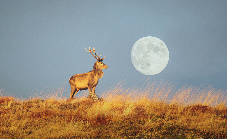 January’s Full Moon