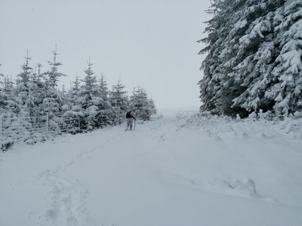 rural estate working life during the winter months seen here is a deer manager dressed in snow camouflage heading out to cull hinds during the winter - cull targets are part of agreed deer management plans.