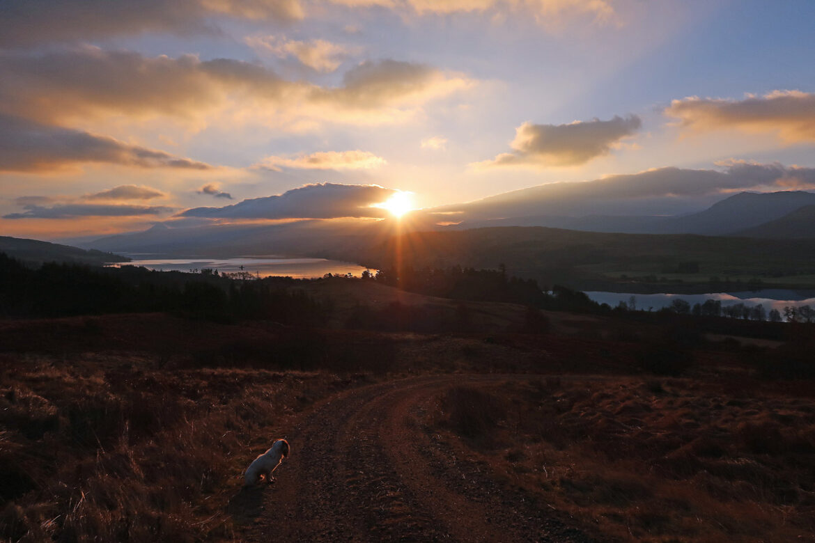 Sunrise sunshine yes please!
