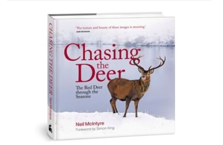 Deer and Photography evening in Perth