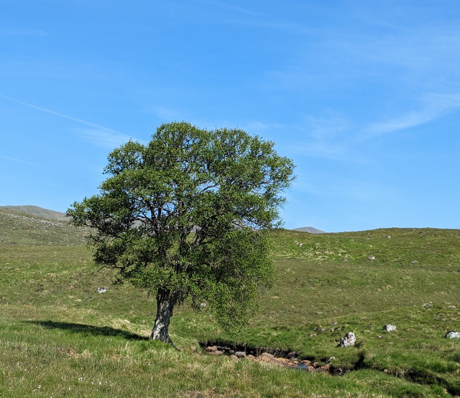Spring and summer comparison