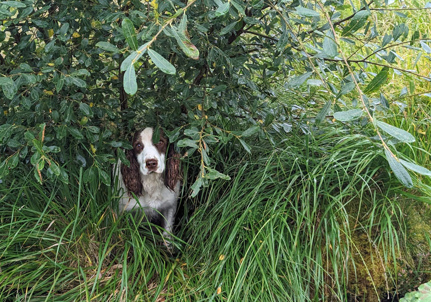 September and the rain
