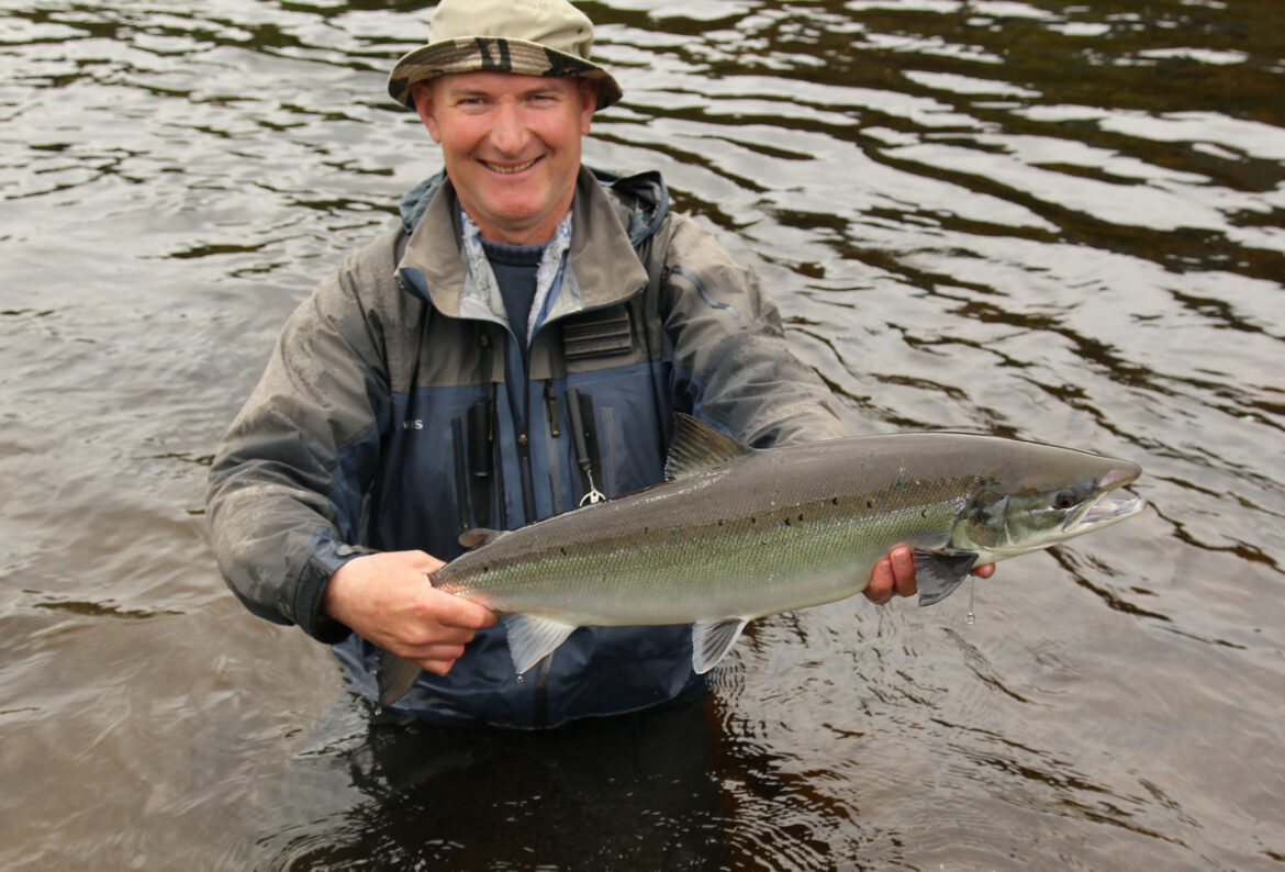 Positive news for salmon