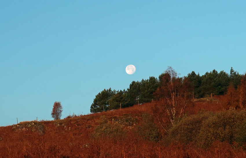 Morning moon and sunlight