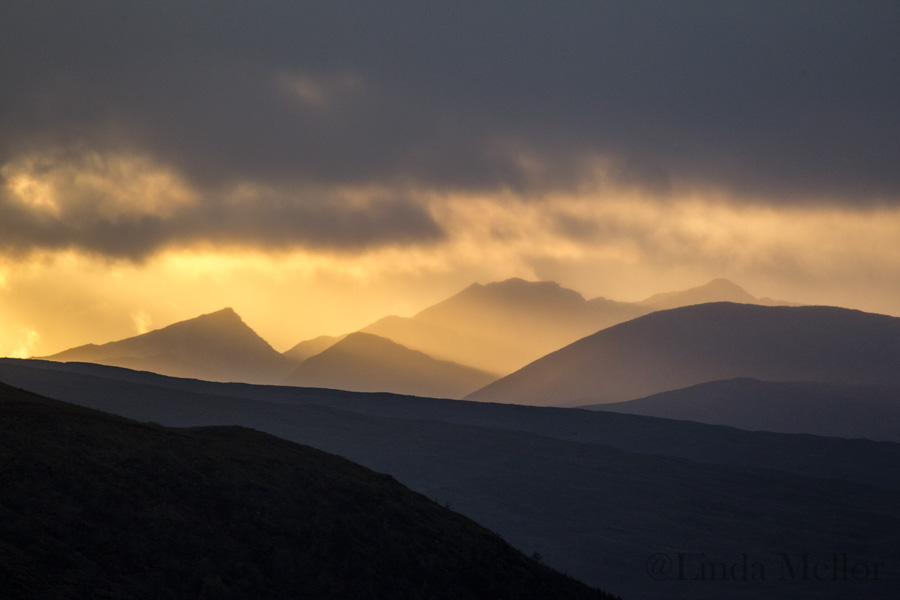 October sunsets and roaring stags