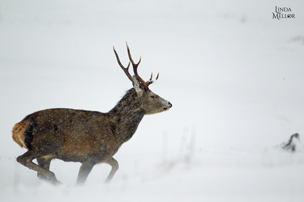 A snowy October outlook
