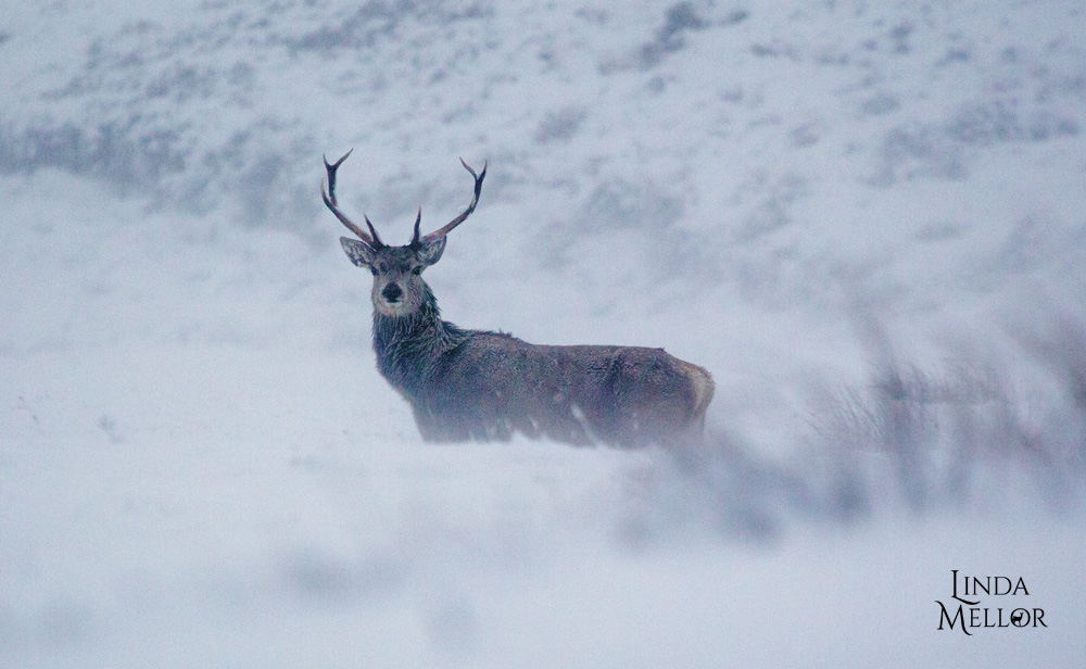 A snowy October outlook