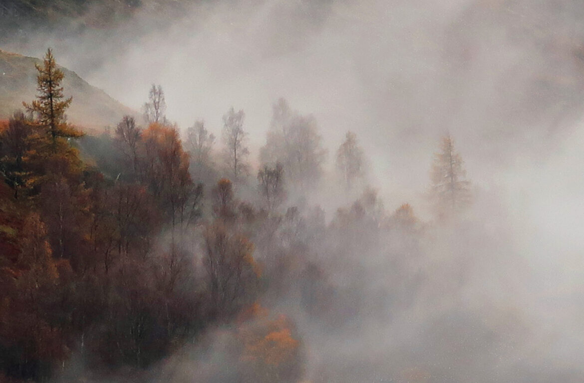 November rain and mist