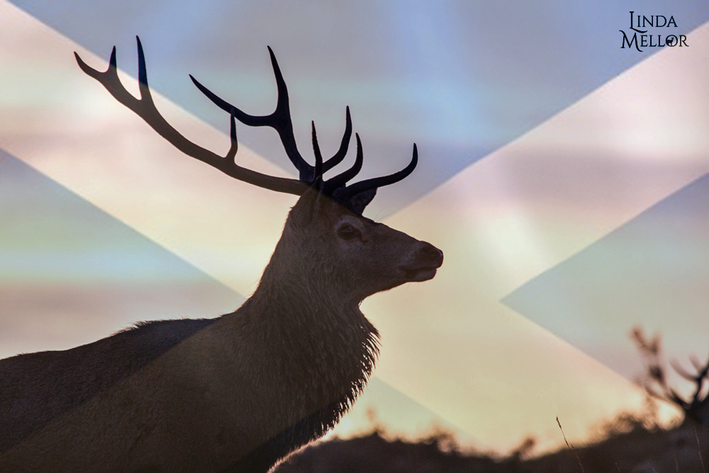 Happy St Andrews Day