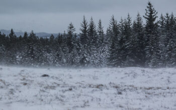 The Scottish Polar Express