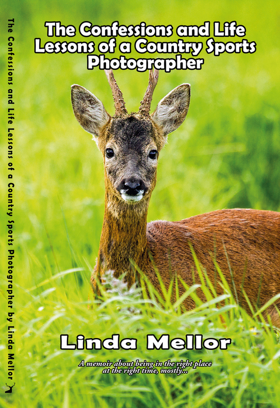 Confessions and Lessons of a Country Sports Photographer by Linda Mellor book cover