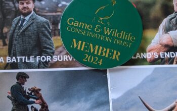 The Scottish Game Fair 2024